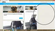Sin título.webp