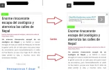 ok noticias movil.webp