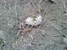 160585767285434.webp