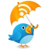 twitter-feed.webp