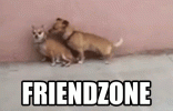 4276.gif 4276.gif