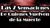 MINIATURA.webp