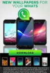 Wallpapers.webp