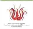 qqqq.webp