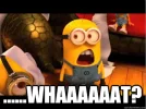 Minion-Meme.webp Minion-Meme.webp