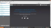2A4.webp