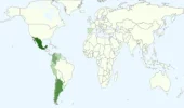 zona.webp
