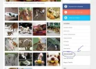 gentegerente sitios de interes.webp