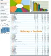 cap4.webp