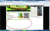 fallo6.webp
