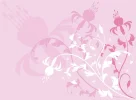 bg.webp