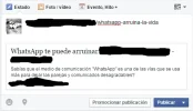 foto1.webp