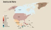 america-nore.webp