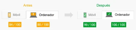 optimizacion-canovas.webp