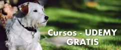 cursos_udemy_gratis_2015_cupones.webp