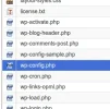 wp-config.webp