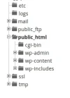 arbol.webp