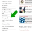 chino.webp chino.webp