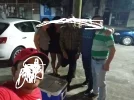 ErzggctXMAkdKim.webp