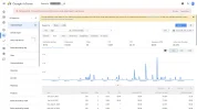 web 1 adsense.webp