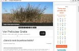 ab184e0bdea2fc63acad7e9c8ef200ceo.webp