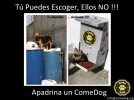 Meme ComeDog #2.webp