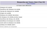 2015-05-31 23_04_28-Statistics for shampoodecebolla.miotip.net (2015-05) - main.webp