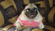 DSC05020.webp