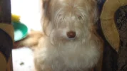 DSC05016.webp