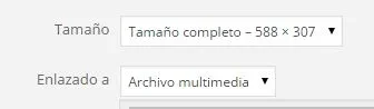 Captura2.webp