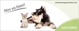 veterinaria goicochea.webp