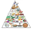 alimentos sanos.webp alimentos sanos.webp