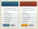 Pricing Table 1.webp