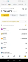 Screenshot_20210211_161648_com.binance.dev.webp
