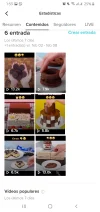 Screenshot_20210215-135359_TikTok.webp