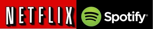 netflix-logo_opt.webp