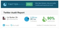 Twiiter Audit Pro.webp