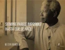 ^BEAC47A9FBADE2C07688816917C488B0AA772BD566FDC671FE^pimgpsh_fullsize_distr.webp