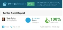 tw audit.webp