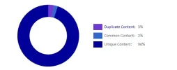 ContenidoDuplicado.webp