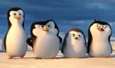 pingc3bcinosedmadagascar.webp