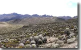 culata.webp