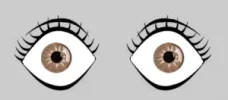 ojos4-300x132.webp