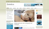 Plantilla optimizada Adsense 4.webp