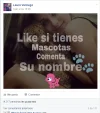 Captura.webp Captura.webp