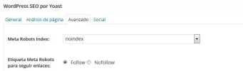 seo_noindex_follow.webp