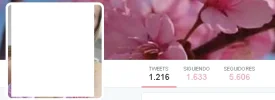 venta twit.webp