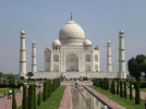bombay.webp