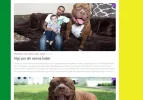 post1.webp