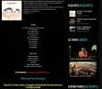 entradas.webp